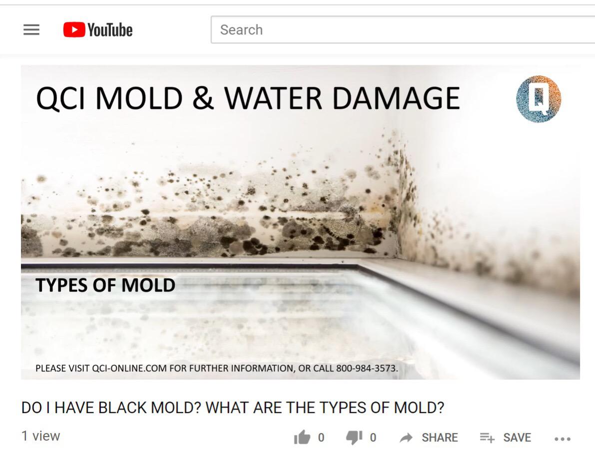 Image 7 | QCI Mold and Water Damage
