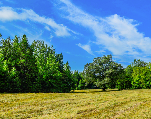 Images Metcalf Land Company, Inc.