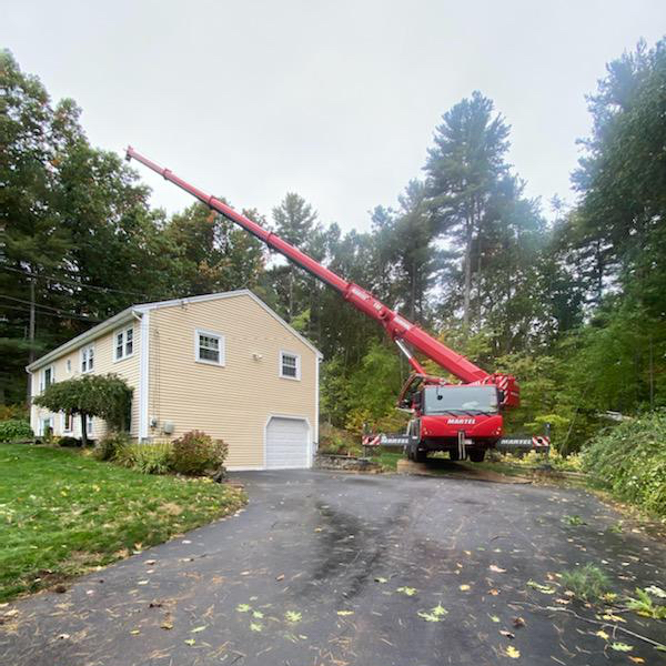 Martel Crane Service & Tree Removal Image
