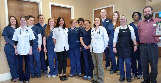 Images VCA Fairleigh Animal Hospital