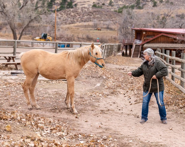Images Sylvan Dale Guest Ranch & Wedding Venue
