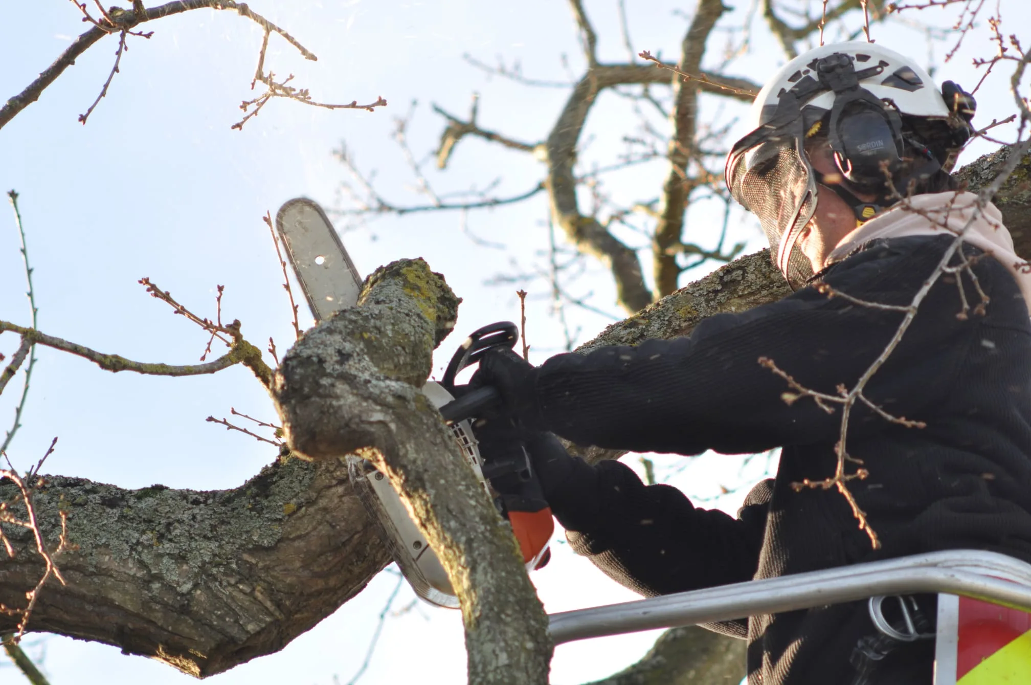 Images S P Landscapes & Tree Contractors