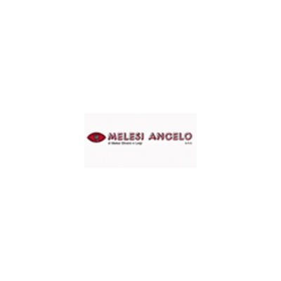 Melesi Angelo Snc Logo