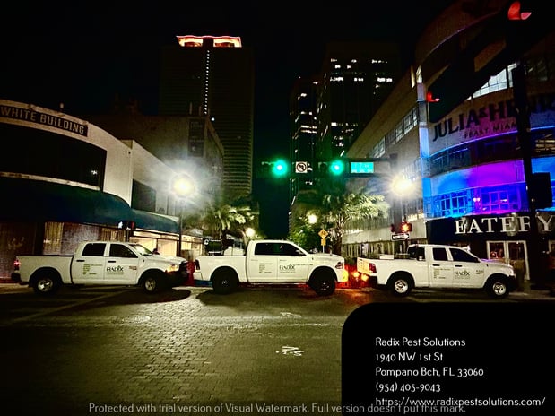 Images Radix Pest Solutions