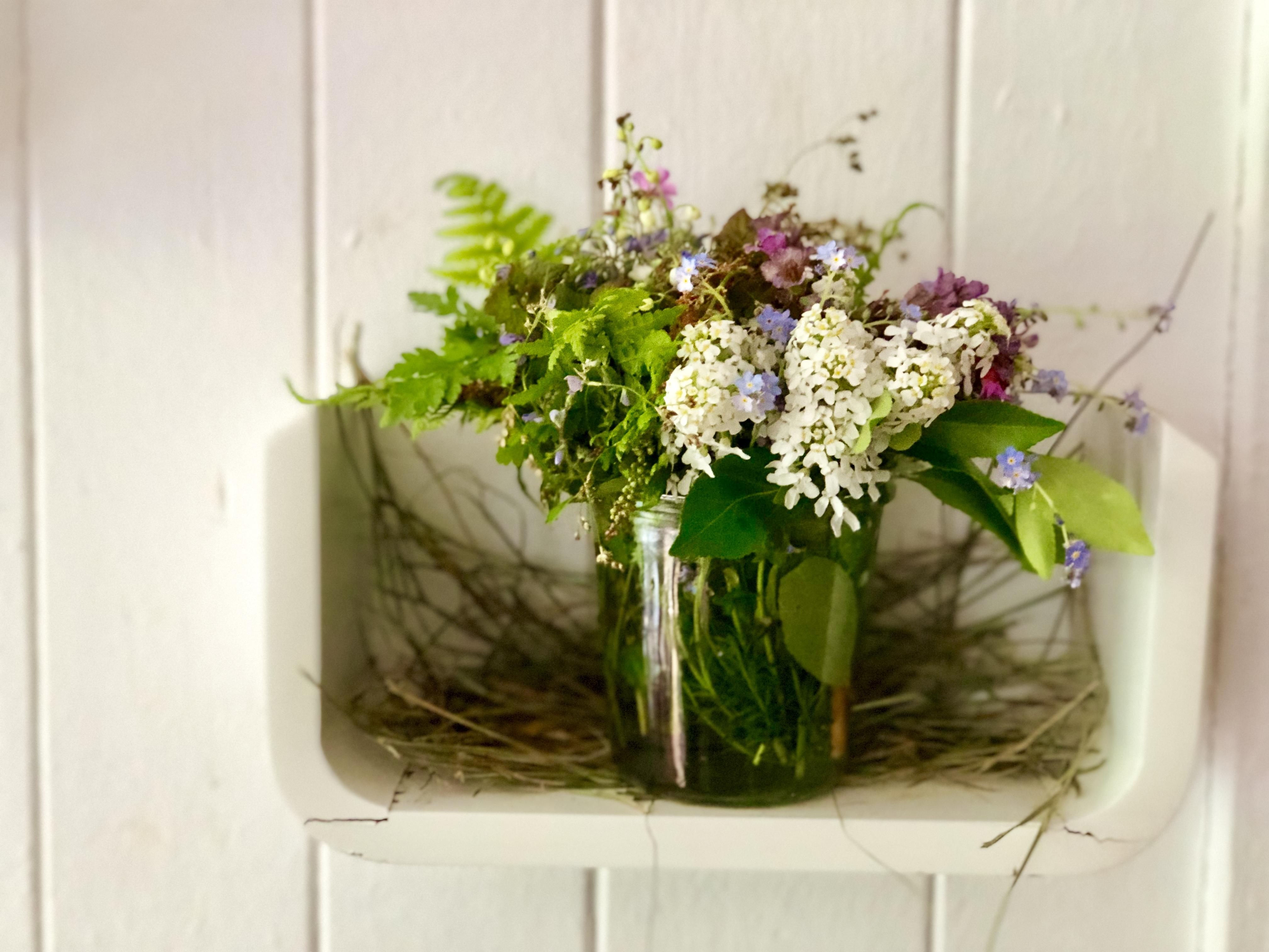 Bilder NaturPur Events - Outdoor Activities