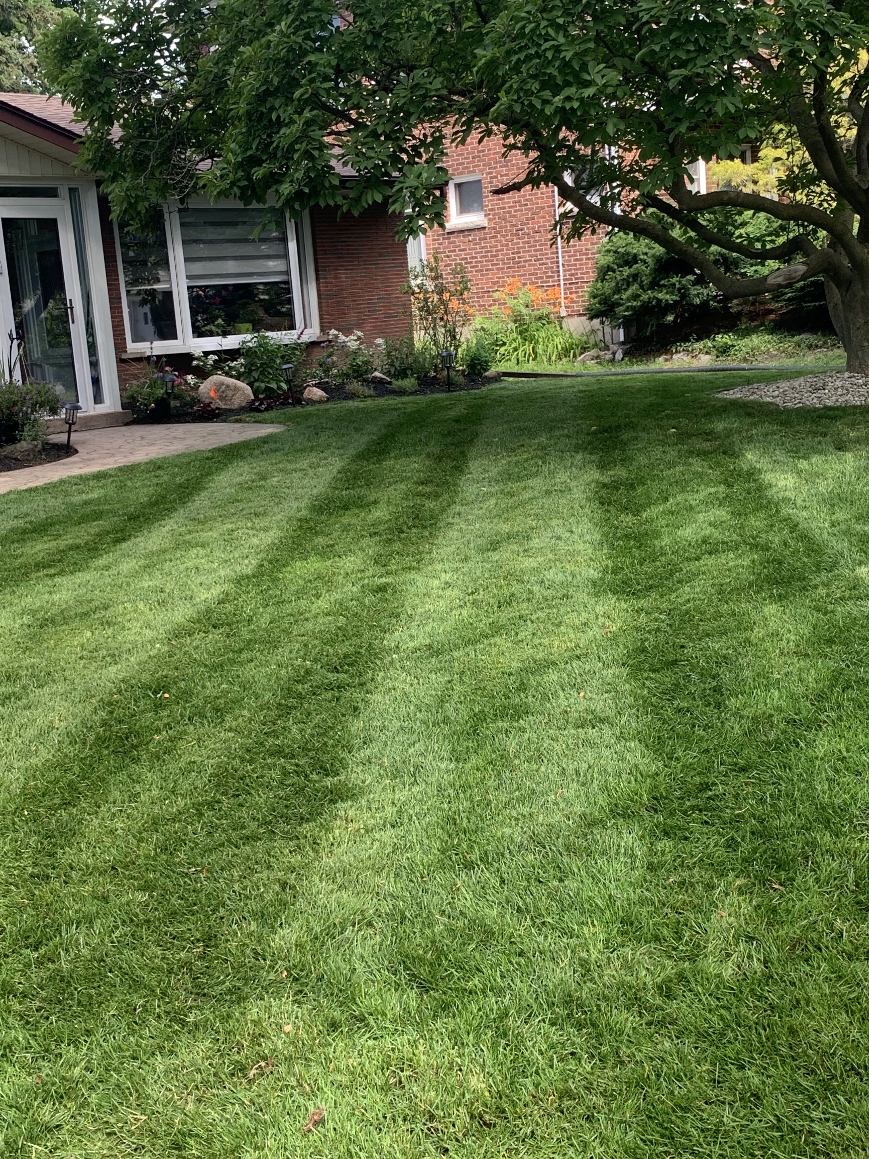 Images VanDuzen Lawn Care