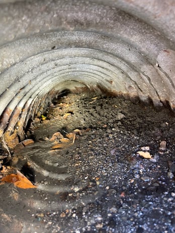 Images West Peak Trenchless & Plumbing