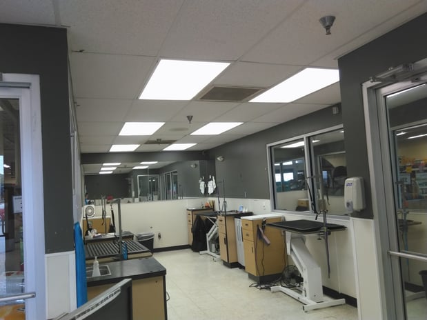 Images Petco Grooming