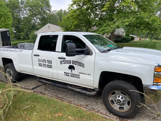 Images Peterman Brothers Tree Service LLC