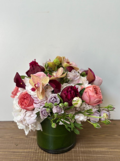 Images Jane's Roses & Flowers