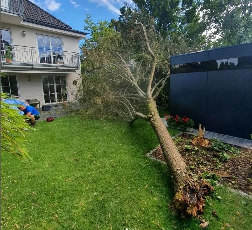 Bild 3 TREEWALKERS München in München