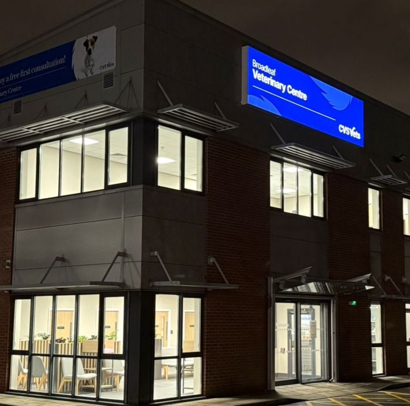 Broadleaf Veterinary Centre exterior at night