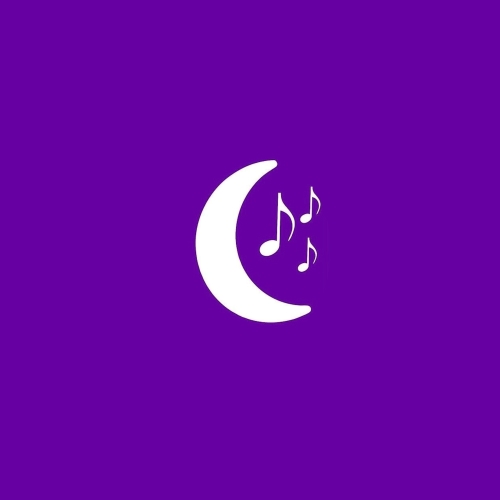 New Moon Studios Logo