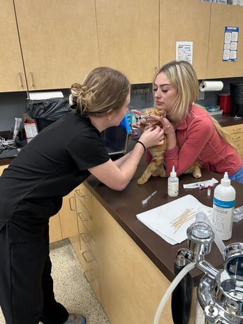 Images VCA All Pet Animal Hospital/Taylorsville