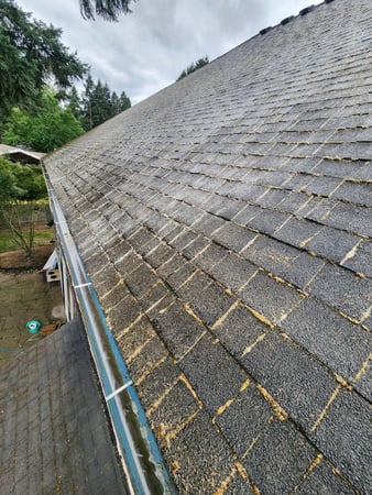 Images NJM Roof & Gutter Cleaning