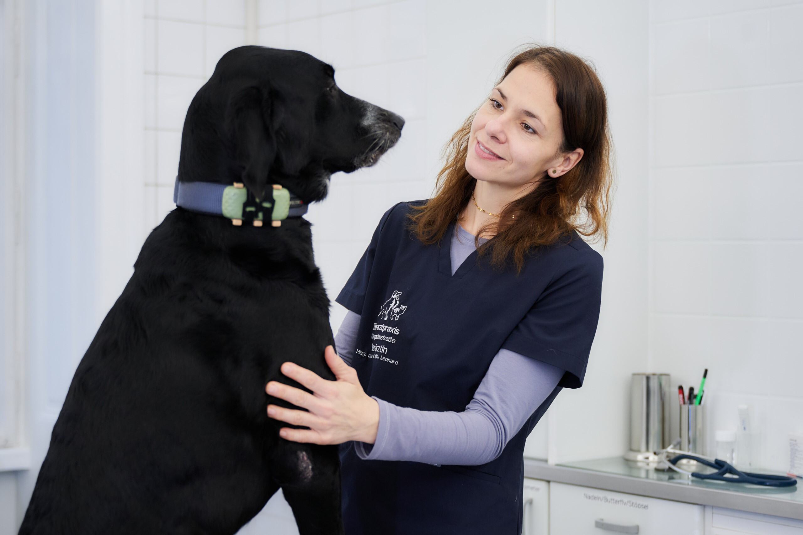 Bild 5 von Tierarztpraxis Vorgartenstraße