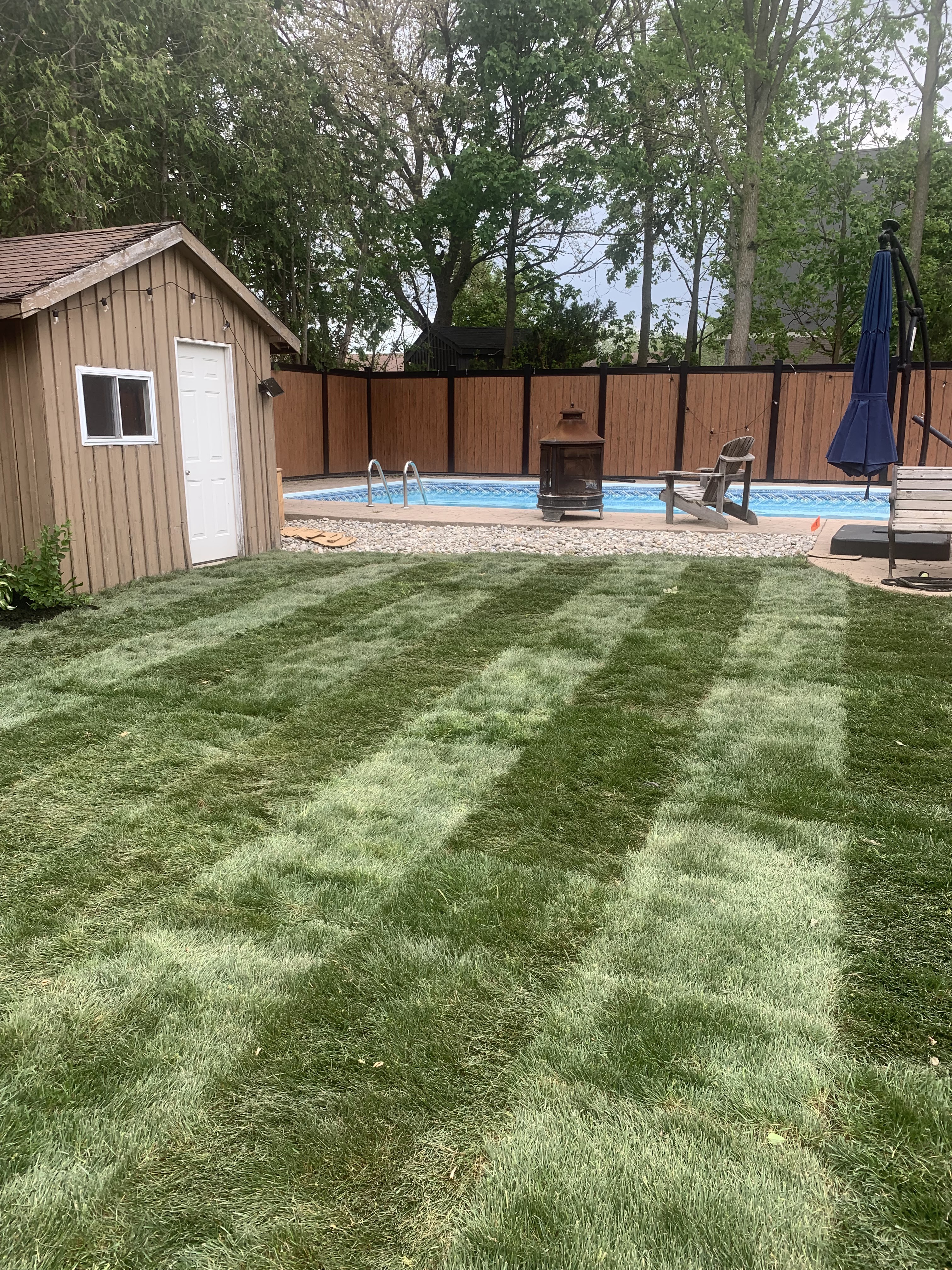 Images VanDuzen Lawn Care