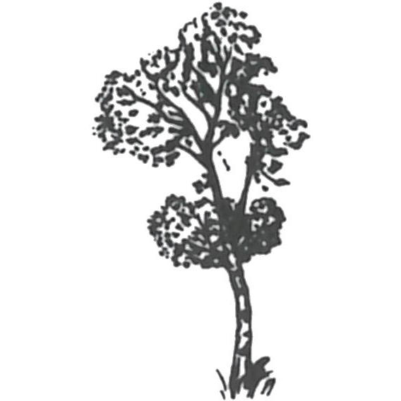 Logo Logo der Birken-Apotheke