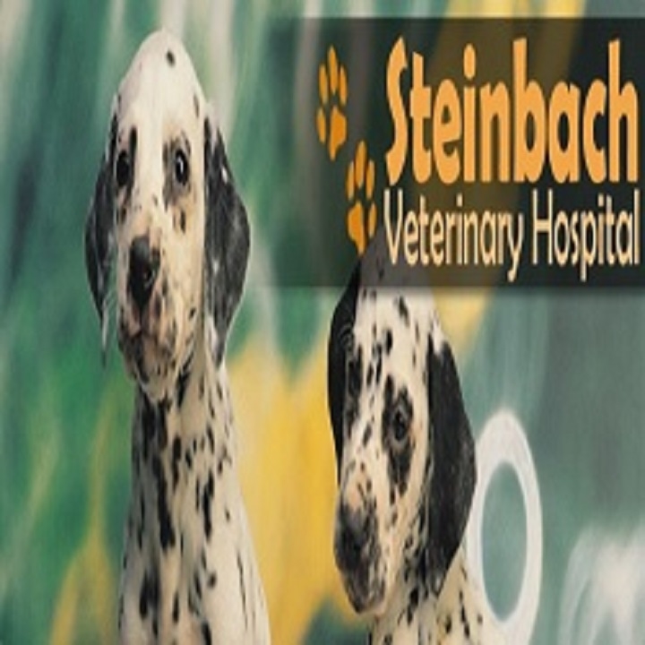 Images Steinbach Veterinary Hospital