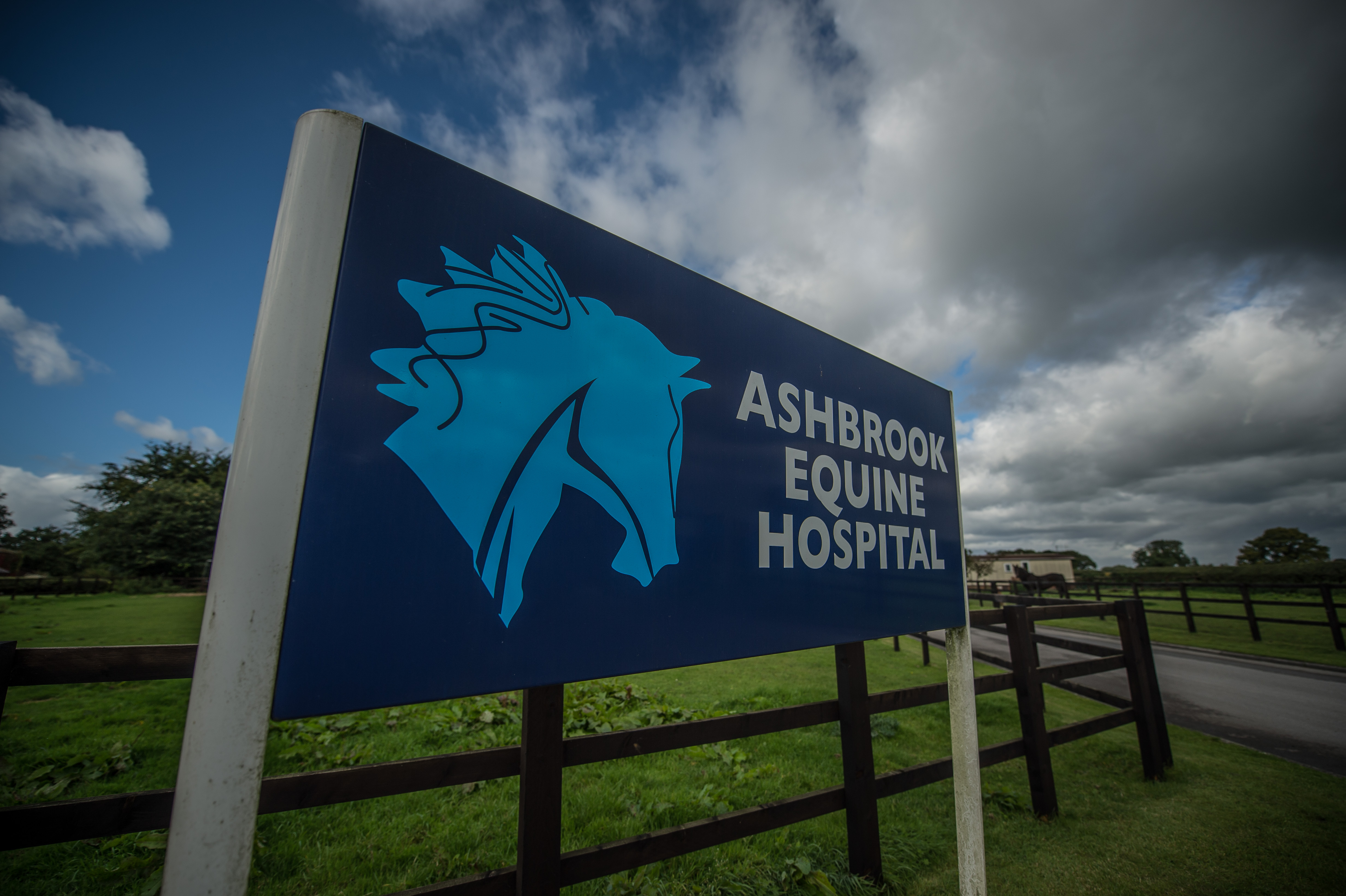 Images Ashbrook Equine Hospital
