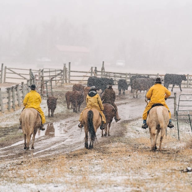 Images Sylvan Dale Guest Ranch & Wedding Venue