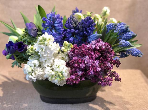Images Flowers And Flowers by Adam Manjuck