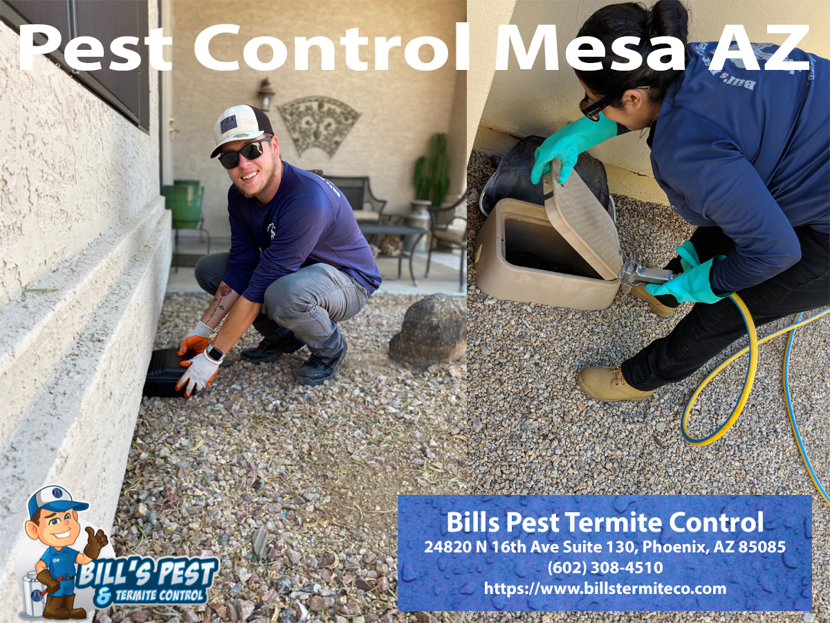 Bills Pest Termite Control Mesa Az Image