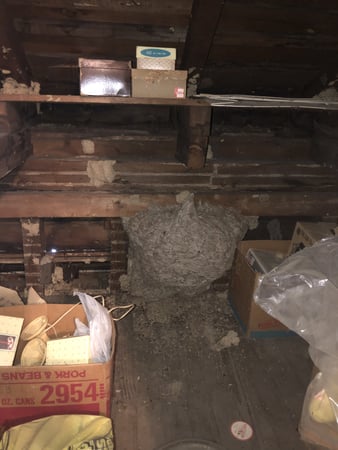 Images Tele-Pest Inc