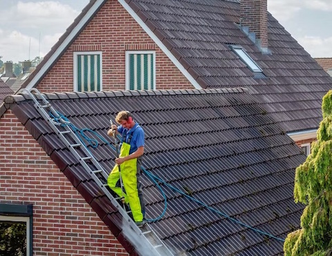Roof Cleaning