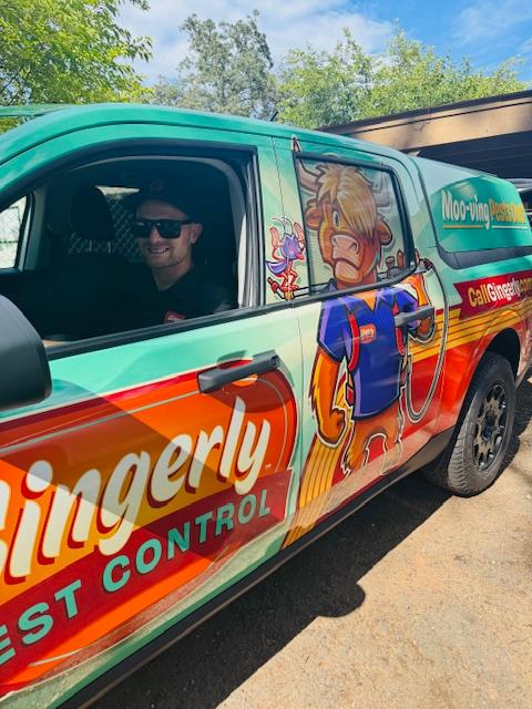 Images Gingerly Pest Control