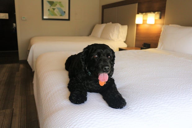 Images Holiday Inn Express & Suites Albuquerque Historic Old Town by IHG
