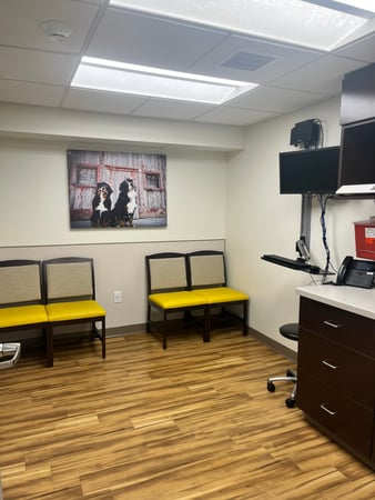 Images VCA Castle Shannon Animal Hospital