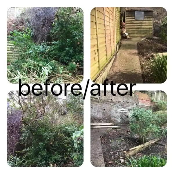 Images Prostyle Gardening & Home Services