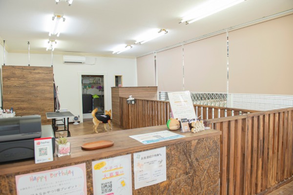Images DogSalon Rwan
