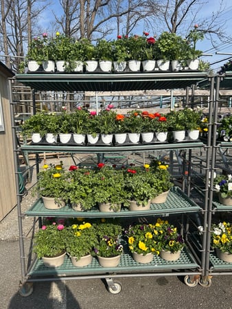 Images Victory Nursery & Landscaping Inc