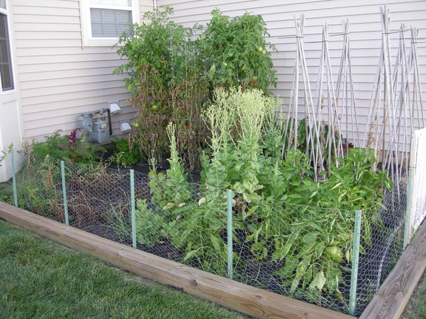 Images Green Thumb At Your Service
