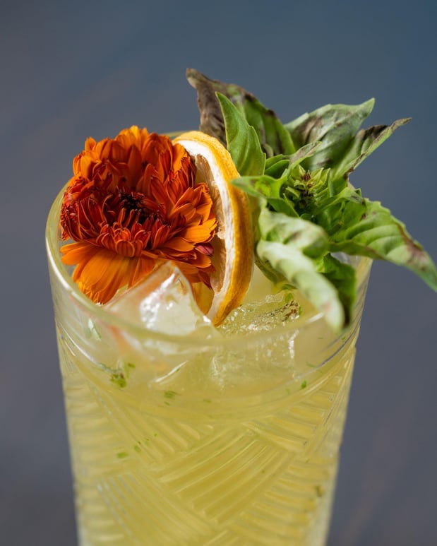 Images Miel De Agave Phoenix