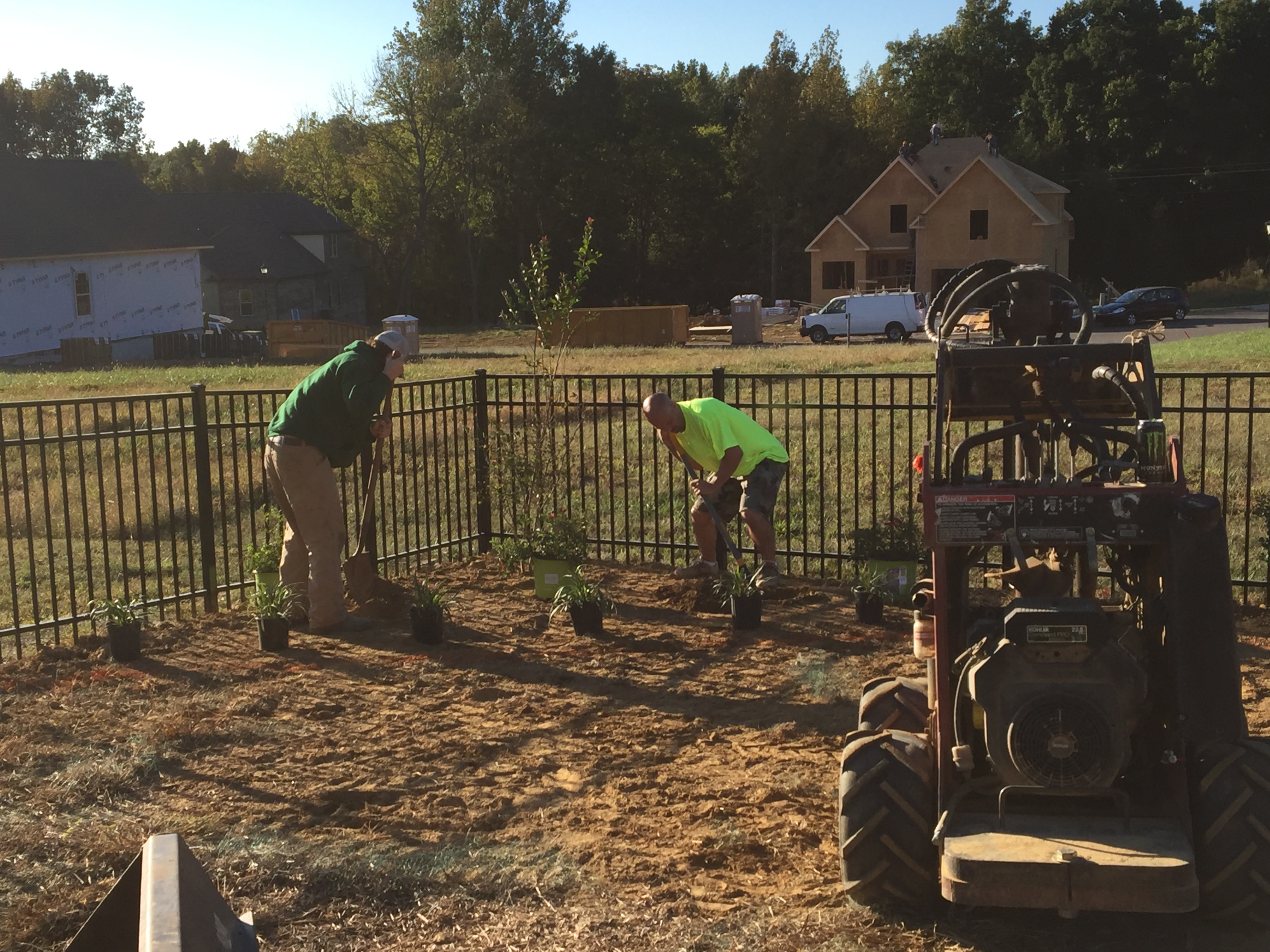 Affordable Lawn Care Image