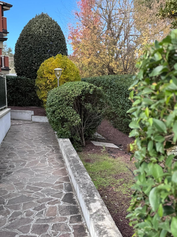 Images Arborium Garden di Samuele Leonelli