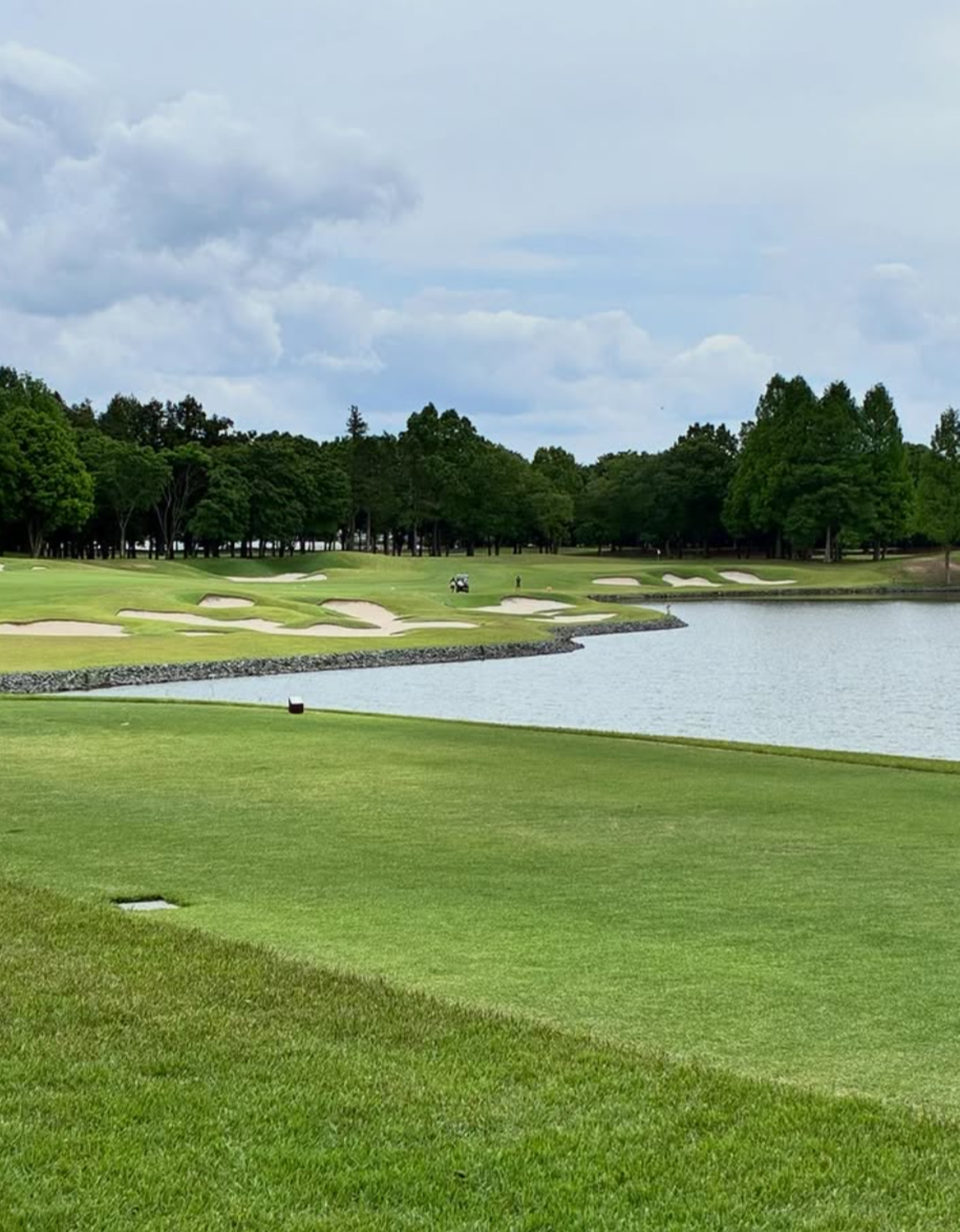 Images VZONEGOLF