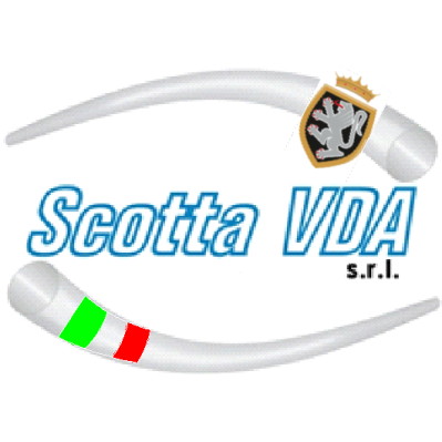 Scotta Vda Logo