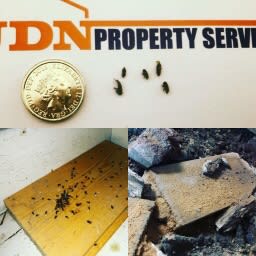 Images JDN Property Services Ltd