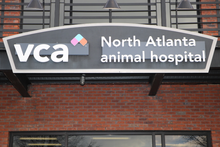 Images VCA North Atlanta Animal Hospital
