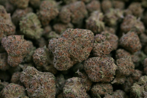 Images High Country Healing Silverthorne Dispensary