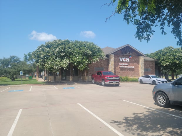 Images VCA Saginaw Animal Hospital