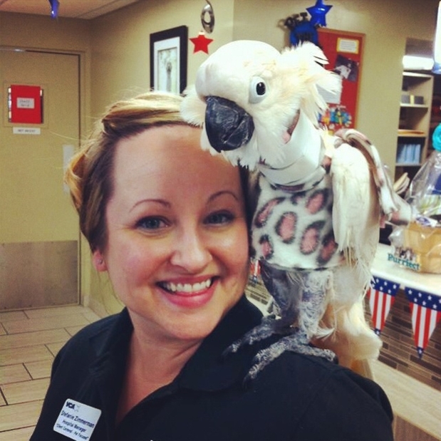 Images VCA Bridgeport Animal Hospital