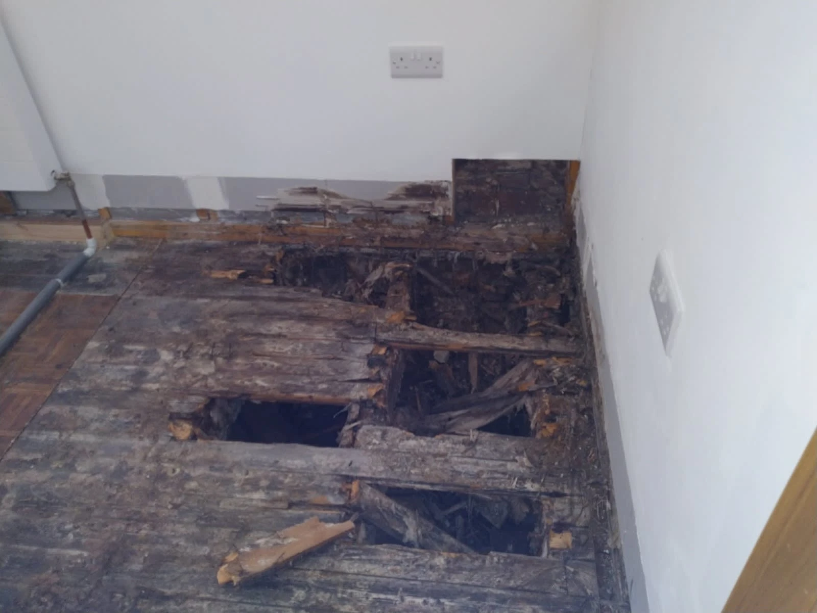Images Damp Detectives