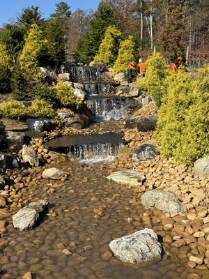 The Lawn Squad Image