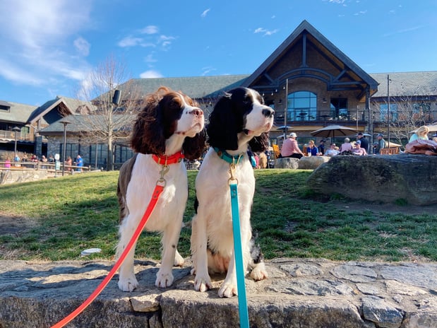 Images Edith Aldrich - State Farm Insurance Agent