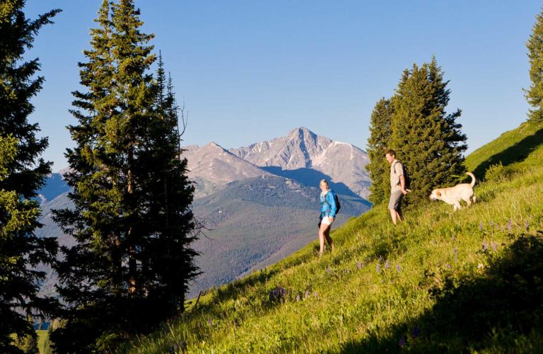 Sonnenalp Vail Photo